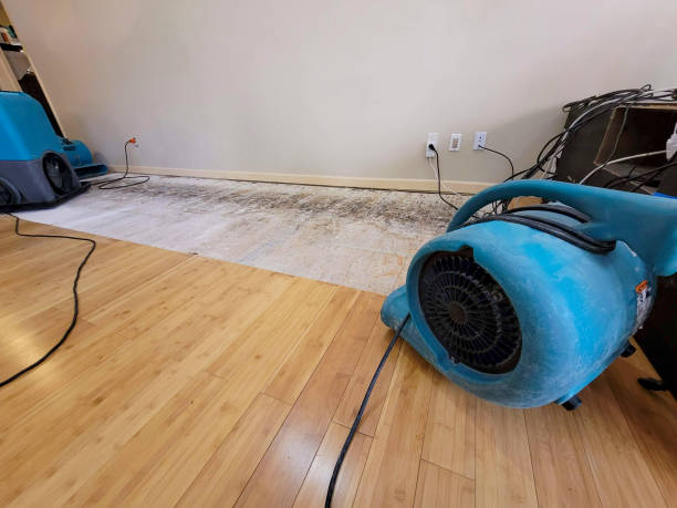 Professional Water Damage Repair technician working in Cynthiana, OH